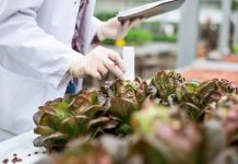 SAG realizará seminario virtual sobre sanidad vegetal abierto a todo público