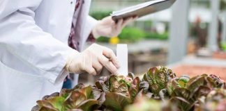 SAG realizará seminario virtual sobre sanidad vegetal abierto a todo público