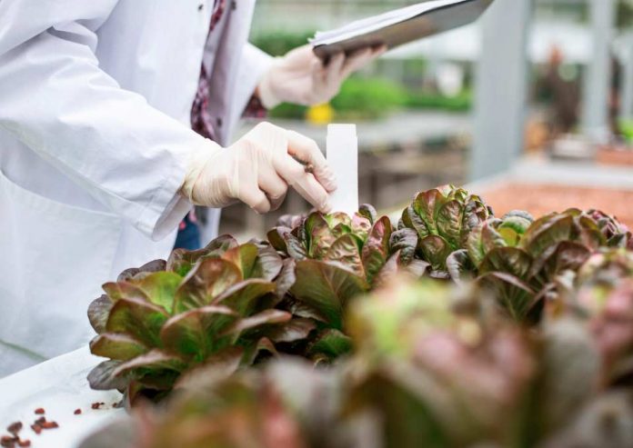 SAG realizará seminario virtual sobre sanidad vegetal abierto a todo público