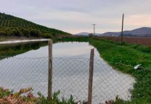 Tecnología de Nanoburbujas para cerezas Kapicua