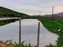 Tecnología de Nanoburbujas para cerezas Kapicua