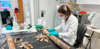 Unidad de Entomología del Laboratorio SAG ubicado en Osorno