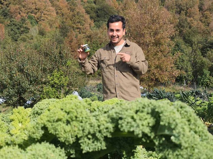 paté con descarte de kale