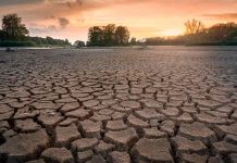 17 de junio: Día Mundial de Lucha contra la Desertificación y la Sequía