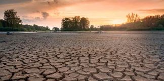 17 de junio: Día Mundial de Lucha contra la Desertificación y la Sequía