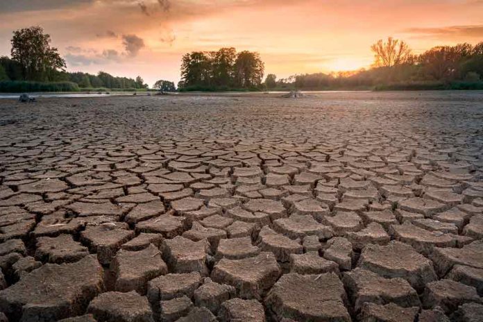 17 de junio: Día Mundial de Lucha contra la Desertificación y la Sequía