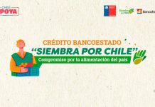 Crédito Siembra por Chile Minagri