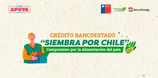 Crédito Siembra por Chile Minagri