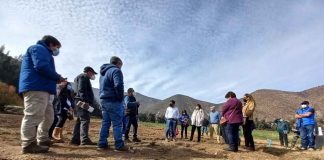 Lanzan unidades demostrativas para el uso eficiente del agua: se capacitaron 650 agricultores