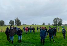 Productores y asesores de Chiloé participaron de un taller sobre praderas y cultivos suplementarios en INIA Butalcura