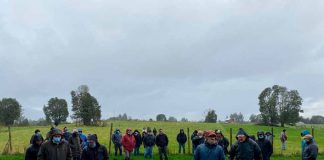 Productores y asesores de Chiloé participaron de un taller sobre praderas y cultivos suplementarios en INIA Butalcura