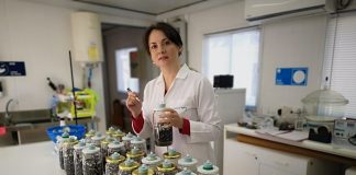 material que se forma a partir de residuos orgánicos