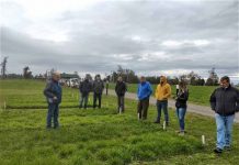 uso de alfalfa ganaderos GTT Santa María