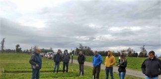 uso de alfalfa ganaderos GTT Santa María