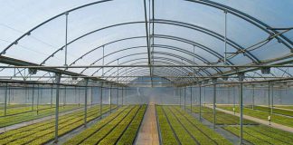 25 años agricultura