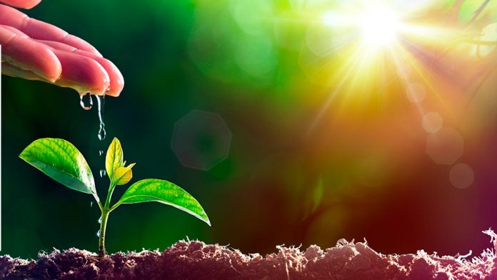El 24 de mayo próximo se llevará a cabo en Centro de Convenciones Monticello este encuentro internacional, que contará con la presencia de destacados expositores, autoridades del agro, expertos en genética frutal y sustentabilidad. Como un evento que se ha consolidado dentro de los imperdibles del agro cada año, la 8va Convención y Feria Internacional Agrotrade Chile 2023 reunirá una vez más en Centro de Convenciones Monticello a los principales actores del agro en torno a una diversa muestra ferial, interesantes charlas y paneles de conversación. La actividad abordará, entre otros, los desafíos de la nueva genética frutal, en donde destacados referentes en mejoramiento varietal conversarán sobre la oferta existente y su impacto en la fruticultura. “Quisimos enfocar esta octava versión de nuestra Agrotrade, en las proyecciones del sector agrícola, en un contexto marcado por los extremos climáticos, las presiones económicas y conflictos, que afectan fuertemente el escenario de seguridad alimentaria mundial en donde la sustentabilidad es fundamental para lograr una agricultura más resiliente a estos cambios”, afirmó la directora ejecutiva de Viveros de Chile, Maritrini Lapuente. En efecto, este reencuentro convocará a importantes líderes y referentes del quehacer agrícola, quienes participarán en los paneles de conversación del evento. “nos reuniremos para intercambiar ideas y proyectar el futuro de la agricultura, pasando por las últimas tendencias en variedades y portainjertos para impulsar el crecimiento del sector”, afirmó el presidente del gremio, Cristián Pichuante. A estos referentes de la industria agrícola, se sumarán stands y expositores nacionales e internacionales como viveristas, proveedores de insumos, servicios y tecnologías, en el que también se mostrará nueva genética para la fruticultura, entre otros. “Agrotrade es una instancia especial para los fruticultores, pues está orientada a ellos con invitados relevantes para el sector y sin duda será una buena oportunidad para hablar de temas importantes como el análisis de la temporada frutícola y el nuevo récord para nuestras exportaciones”, comentó Jorge Valenzuela, presidente de Fedefruta. Entre otros temas que incluirá Agrotrade 2023, está “el potencial de la mujer cómo agente de cambio en la agricultura, siendo protagonista en temas transversales como la asociatividad y la alfabetización digital, entre otros, que nos permiten avanzar y trabajar en conjunto para volver a la senda de convertir a Chile en una potencia agroalimentaria”, comenta Patricia Benavente, presidente de la recién conformada primera Asociación Gremial de Mujeres del Agro en Chile – AMAGRO AG. Para inscripciones y más información, acceder a agrotradechile.cl