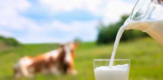 Fortificación de leche