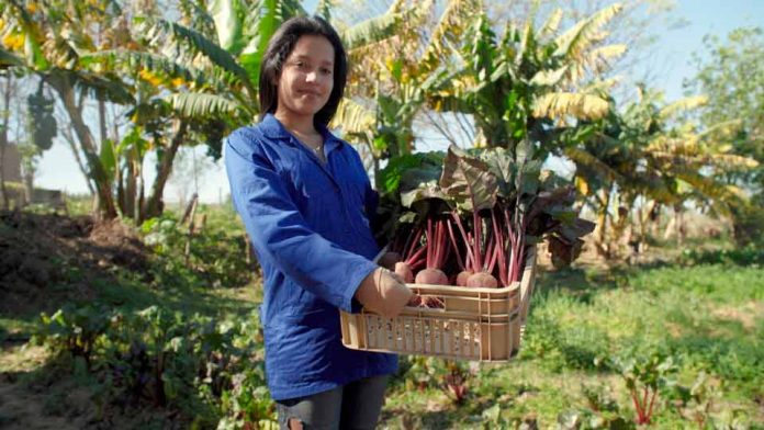 Bayer proyectos salud alimentación