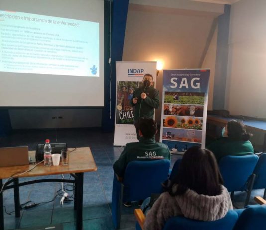 De Mulchén, Quilaco y Santa Bárbara: Apicultores participan en charla sobre pequeño escarabajo de la colmena Charla apicultores