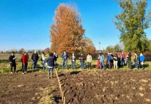 INIA agricultura sustentable