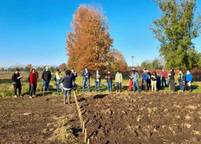 INIA agricultura sustentable