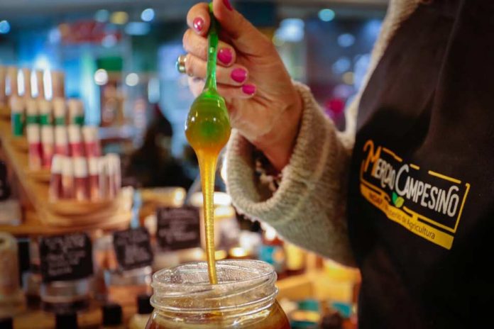 Miel aporta energía y antibiótico