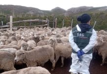 SAG SIMPOSIO Salud Para La Protección Del Medio Ambiente