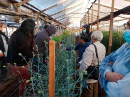 aplicación de plaguicidas