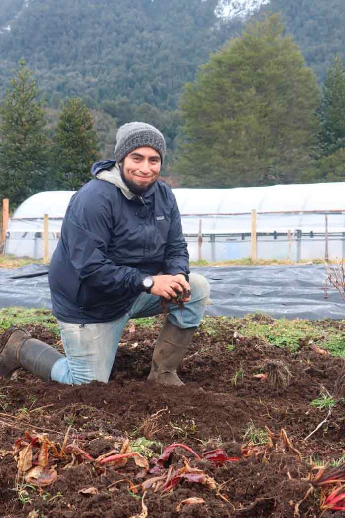 Agroecología y Sustentabilidad: Los Pilares de INDAP para fortalecer la producción silvoagropecuaria en los nuevos tiempos