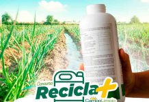 Concurso "Recicla Mas Campo Limpio 2022"