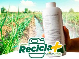 Concurso "Recicla Mas Campo Limpio 2022"