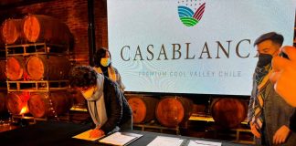 Empresas vitivinícolas del Valle de Casablanca buscan transformarse en una industria sustentable, baja en carbono y resiliente al cambio climático