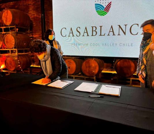 Empresas vitivinícolas del Valle de Casablanca buscan transformarse en una industria sustentable, baja en carbono y resiliente al cambio climático