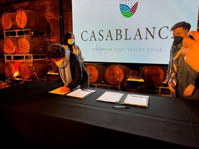 Empresas vitivinícolas del Valle de Casablanca buscan transformarse en una industria sustentable, baja en carbono y resiliente al cambio climático