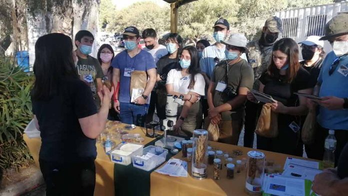 INIA Intihuasi celebra 31 años dando a conocer sus investigaciones más relevantes
