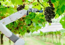 Sector agrícola y agronegocios se verán favorecidos con el avance de la inteligencia artificial