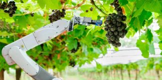 Sector agrícola y agronegocios se verán favorecidos con el avance de la inteligencia artificial