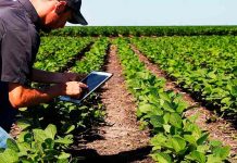 Sector de alimentos y bebidas: ¿Gestión sustentable vs rentable?