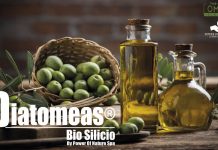 Solución a la degradación de los suelos por el uso excesivo de fertilizantes químicos y monocultivo