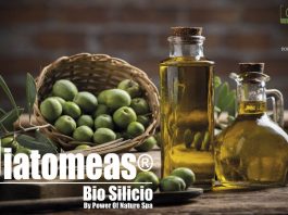 Solución a la degradación de los suelos por el uso excesivo de fertilizantes químicos y monocultivo