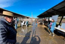 Temas que interesan a productores de leche empresariales: cambio climático, gases invernadero y robots de ordeña