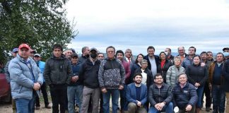 Viñateros de Pachagua ingresarán a Programa de alianza productiva con Indap y Juan Segura Wines