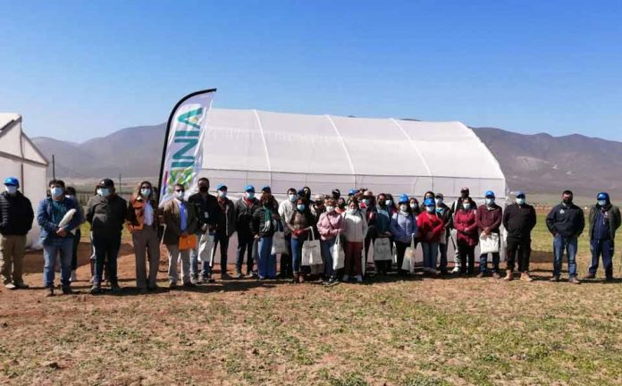 invernaderos para producción hidropónica
