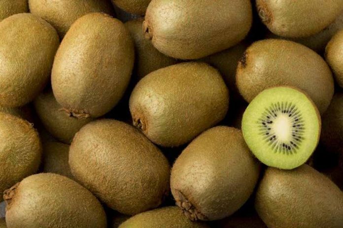 Industria chilena del Kiwi