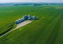 Brasil el futuro de la agroindustria