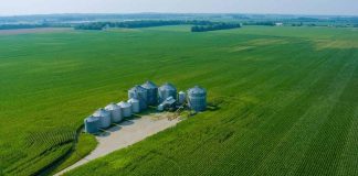 Brasil el futuro de la agroindustria