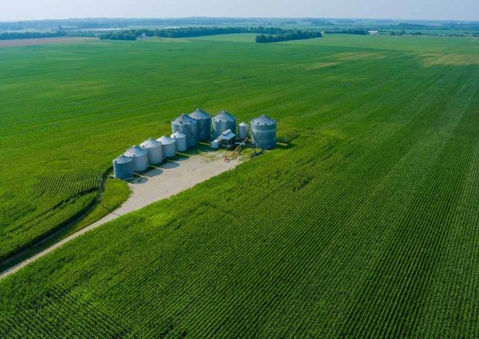 Brasil el futuro de la agroindustria