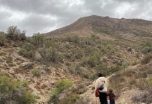 glaciares del Parque Yerba Loca