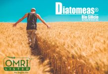 DIATOMEAS BIOSILICIO, como fertilizante y enmienda agrícola autorizado por el SAG