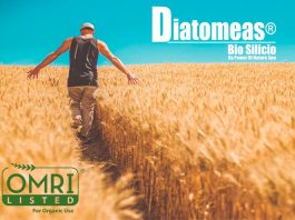 DIATOMEAS BIOSILICIO, como fertilizante y enmienda agrícola autorizado por el SAG